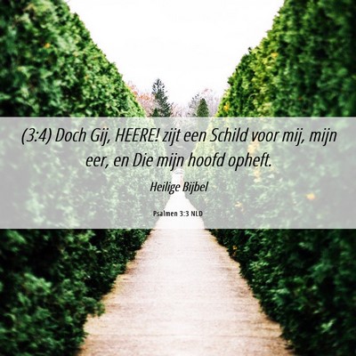 Picture 06 - Psalmen 3:3 NLD - (3:4) Doch Gij, HEERE! zijt een Schild voor mij, - Bible Verse Picture