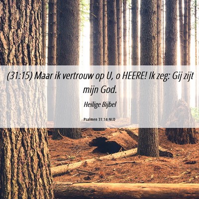 Picture 06 - Psalmen 31:14 NLD - (31:15) Maar ik vertrouw op U, o HEERE! Ik zeg: - Bible Verse Picture
