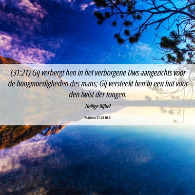 Picture 06 - Psalmen 31:20 NLD - (31:21) Gij verbergt hen in het verborgene Uws - Bible Verse Picture
