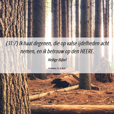 Picture 06 - Psalmen 31:6 NLD - (31:7) Ik haat degenen, die op valse ijdelheden - Bible Verse Picture