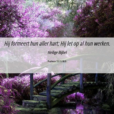 Picture 06 - Psalmen 33:15 NLD - Hij formeert hun aller hart; Hij let op al hun - Bible Verse Picture