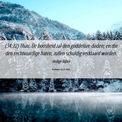 Picture 06 - Psalmen 34:21 NLD - (34:22) Thau. De boosheid zal den goddeloze - Bible Verse Picture