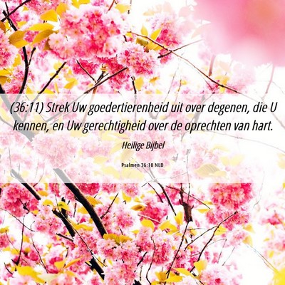 Picture 06 - Psalmen 36:10 NLD - (36:11) Strek Uw goedertierenheid uit over - Bible Verse Picture