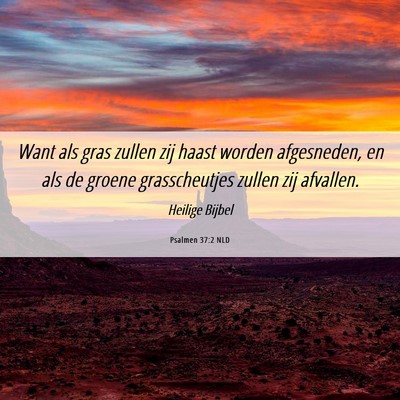 Picture 06 - Psalmen 37:2 NLD - Want als gras zullen zij haast worden afgesneden, - Bible Verse Picture