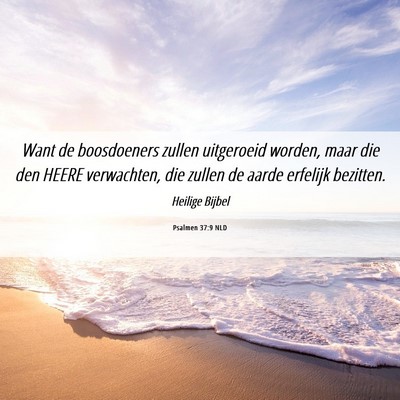 Picture 06 - Psalmen 37:9 NLD - Want de boosdoeners zullen uitgeroeid worden, - Bible Verse Picture