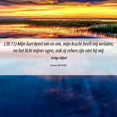 Picture 06 - Psalmen 38:10 NLD - (38:11) Mijn hart keert om en om, mijn kracht - Bible Verse Picture