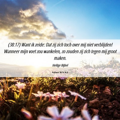 Picture 06 - Psalmen 38:16 NLD - (38:17) Want ik zeide: Dat zij zich toch over mij - Bible Verse Picture