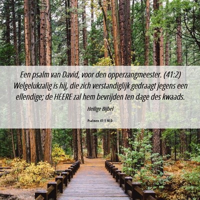 Picture 06 - Psalmen 41:1 NLD - Een psalm van David, voor den opperzangmeester. - Bible Verse Picture