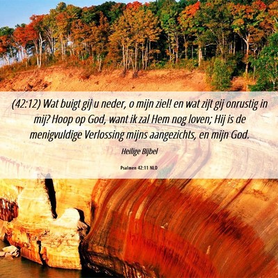 Picture 06 - Psalmen 42:11 NLD - (42:12) Wat buigt gij u neder, o mijn ziel! en - Bible Verse Picture