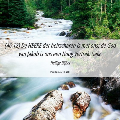 Picture 06 - Psalmen 46:11 NLD - (46:12) De HEERE der heirscharen is met ons; de - Bible Verse Picture