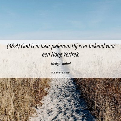 Picture 06 - Psalmen 48:3 NLD - (48:4) God is in haar paleizen; Hij is er bekend - Bible Verse Picture