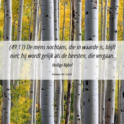 Picture 06 - Psalmen 49:12 NLD - (49:13) De mens nochtans, die in waarde is, - Bible Verse Picture