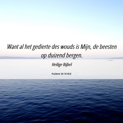 Picture 06 - Psalmen 50:10 NLD - Want al het gedierte des wouds is Mijn, de - Bible Verse Picture