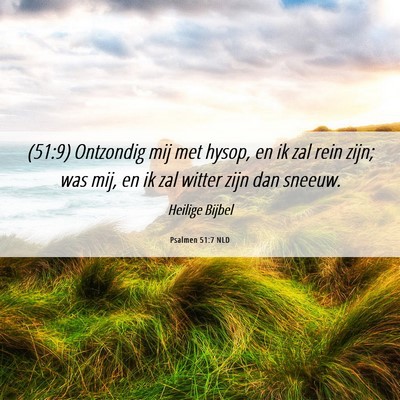 Picture 06 - Psalmen 51:7 NLD - (51:9) Ontzondig mij met hysop, en ik zal rein - Bible Verse Picture