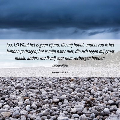 Picture 06 - Psalmen 55:12 NLD - (55:13) Want het is geen vijand, die mij hoont, - Bible Verse Picture