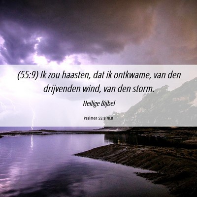 Picture 06 - Psalmen 55:8 NLD - (55:9) Ik zou haasten, dat ik ontkwame, van den - Bible Verse Picture