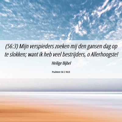 Picture 06 - Psalmen 56:2 NLD - (56:3) Mijn verspieders zoeken mij den gansen dag - Bible Verse Picture