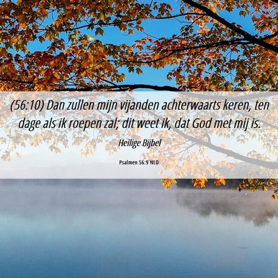 Picture 06 - Psalmen 56:9 NLD - (56:10) Dan zullen mijn vijanden achterwaarts - Bible Verse Picture