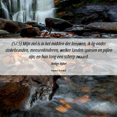 Picture 06 - Psalmen 57:4 NLD - (57:5) Mijn ziel is in het midden der leeuwen, ik - Bible Verse Picture