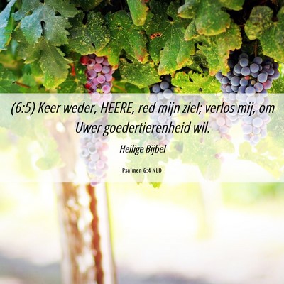 Picture 06 - Psalmen 6:4 NLD - (6:5) Keer weder, HEERE, red mijn ziel; verlos - Bible Verse Picture