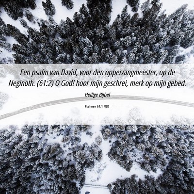 Picture 06 - Psalmen 61:1 NLD - Een psalm van David, voor den opperzangmeester, - Bible Verse Picture