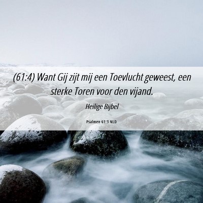 Picture 06 - Psalmen 61:3 NLD - (61:4) Want Gij zijt mij een Toevlucht geweest, - Bible Verse Picture