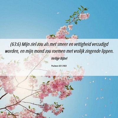 Picture 06 - Psalmen 63:5 NLD - (63:6) Mijn ziel zou als met smeer en vettigheid - Bible Verse Picture