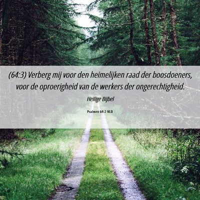 Picture 06 - Psalmen 64:2 NLD - (64:3) Verberg mij voor den heimelijken raad der - Bible Verse Picture