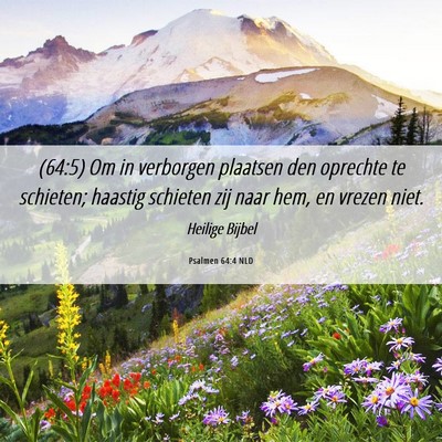 Picture 06 - Psalmen 64:4 NLD - (64:5) Om in verborgen plaatsen den oprechte te - Bible Verse Picture