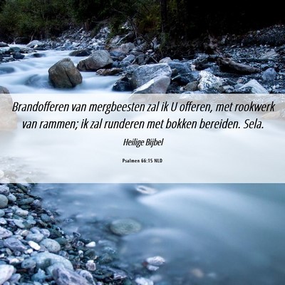 Picture 06 - Psalmen 66:15 NLD - Brandofferen van mergbeesten zal ik U offeren, - Bible Verse Picture