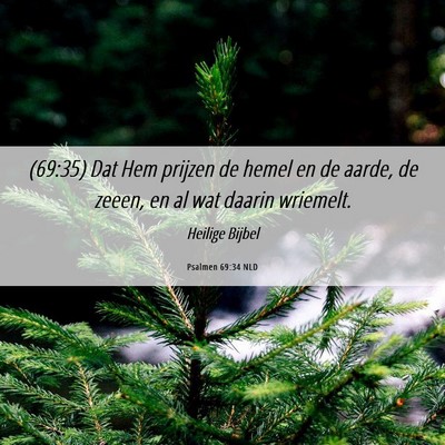 Picture 06 - Psalmen 69:34 NLD - (69:35) Dat Hem prijzen de hemel en de aarde, de - Bible Verse Picture