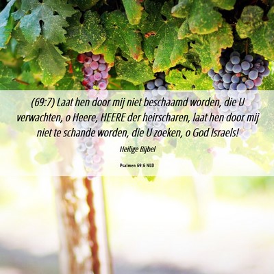 Picture 06 - Psalmen 69:6 NLD - (69:7) Laat hen door mij niet beschaamd worden, - Bible Verse Picture