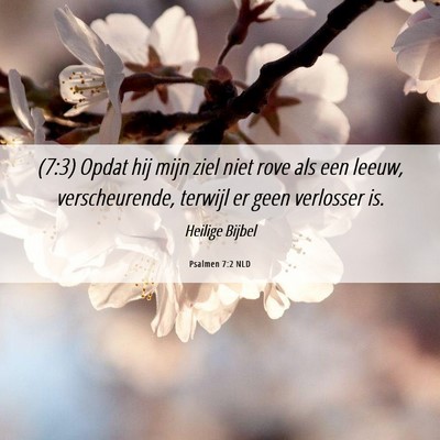 Picture 06 - Psalmen 7:2 NLD - (7:3) Opdat hij mijn ziel niet rove als een - Bible Verse Picture