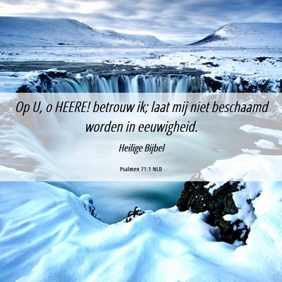 Picture 06 - Psalmen 71:1 NLD - Op U, o HEERE! betrouw ik; laat mij niet - Bible Verse Picture