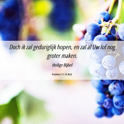 Picture 06 - Psalmen 71:14 NLD - Doch ik zal geduriglijk hopen, en zal al Uw lof - Bible Verse Picture