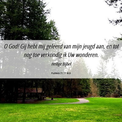 Picture 06 - Psalmen 71:17 NLD - O God! Gij hebt mij geleerd van mijn jeugd aan, - Bible Verse Picture