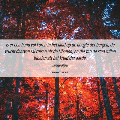 Picture 06 - Psalmen 72:16 NLD - Is er een hand vol koren in het land op de hoogte - Bible Verse Picture