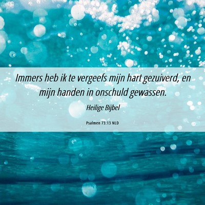Picture 06 - Psalmen 73:13 NLD - Immers heb ik te vergeefs mijn hart gezuiverd, en - Bible Verse Picture