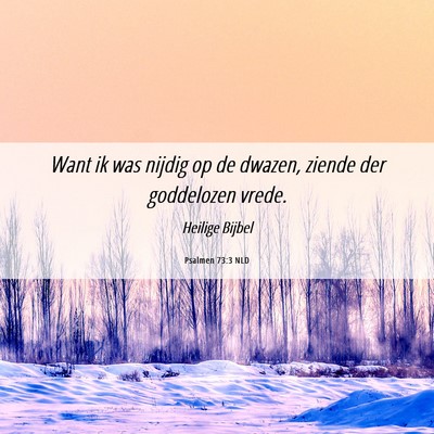 Picture 06 - Psalmen 73:3 NLD - Want ik was nijdig op de dwazen, ziende der - Bible Verse Picture