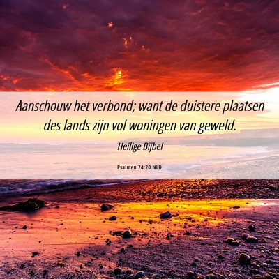Picture 06 - Psalmen 74:20 NLD - Aanschouw het verbond; want de duistere plaatsen - Bible Verse Picture
