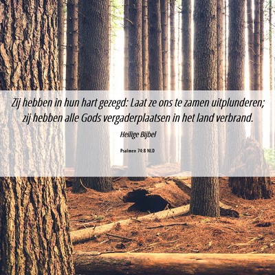 Picture 06 - Psalmen 74:8 NLD - Zij hebben in hun hart gezegd: Laat ze ons te - Bible Verse Picture