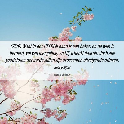Picture 06 - Psalmen 75:8 NLD - (75:9) Want in des HEEREN hand is een beker, en - Bible Verse Picture