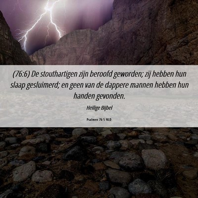 Picture 06 - Psalmen 76:5 NLD - (76:6) De stouthartigen zijn beroofd geworden; - Bible Verse Picture