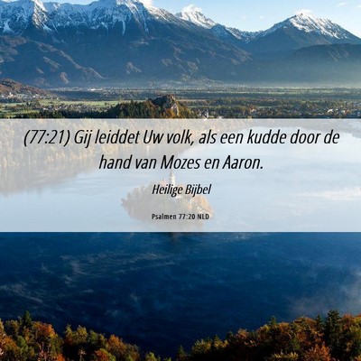Picture 06 - Psalmen 77:20 NLD - (77:21) Gij leiddet Uw volk, als een kudde door - Bible Verse Picture