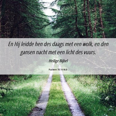Picture 06 - Psalmen 78:14 NLD - En Hij leidde hen des daags met een wolk, en den - Bible Verse Picture