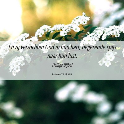 Picture 06 - Psalmen 78:18 NLD - En zij verzochten God in hun hart, begerende - Bible Verse Picture