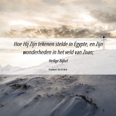Picture 06 - Psalmen 78:43 NLD - Hoe Hij Zijn tekenen stelde in Egypte, en Zijn - Bible Verse Picture