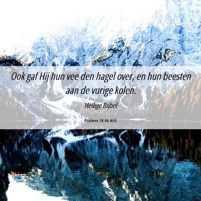 Picture 06 - Psalmen 78:48 NLD - Ook gaf Hij hun vee den hagel over, en hun - Bible Verse Picture