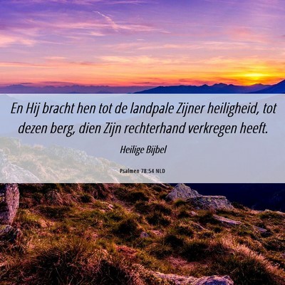 Picture 06 - Psalmen 78:54 NLD - En Hij bracht hen tot de landpale Zijner - Bible Verse Picture