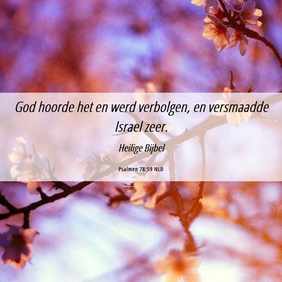 Picture 06 - Psalmen 78:59 NLD - God hoorde het en werd verbolgen, en versmaadde - Bible Verse Picture